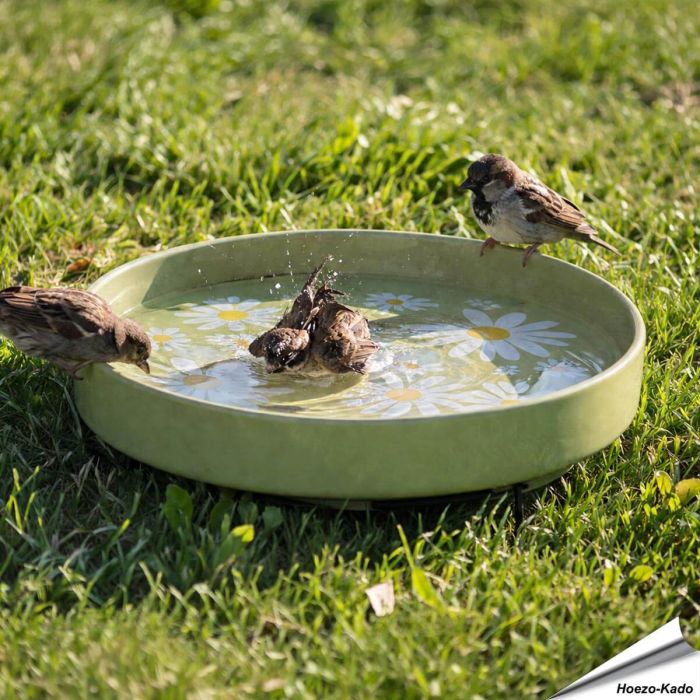 Keramiek vogelbad - Madeliefje | Vorstbestendig | Hoezo-Kado