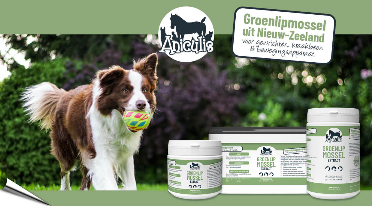 Aniculis - Groenlipmossel Extract voor Honden, Katten & Paarden