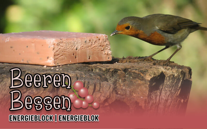 Energieblok met bessen van Aniculis - Bestel nu! Energieblok met bessen van Aniculis - Bestel nu!