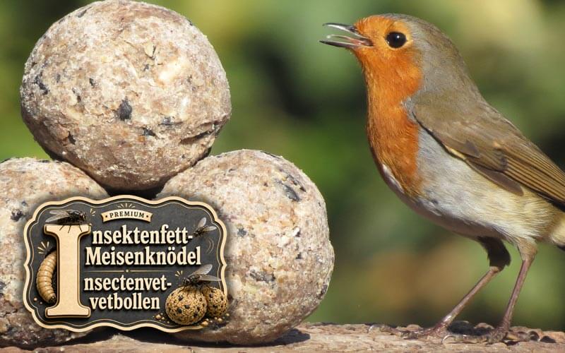 Premium vetbollen met insectenvet voor tuinvogels - Aniculis Premium vetbollen met insectenvet voor tuinvogels - Aniculis