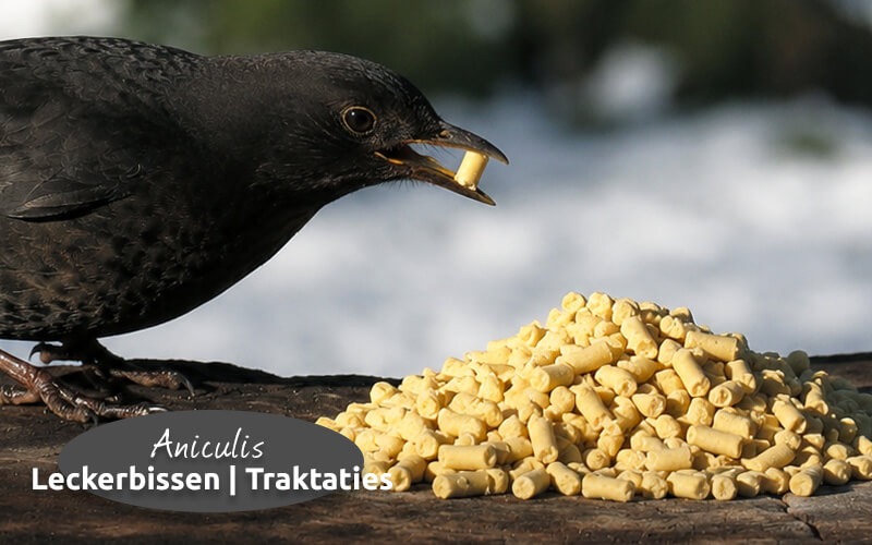 Vet traktaties voor tuinvogels van Aniculis Vet traktaties voor tuinvogels van Aniculis