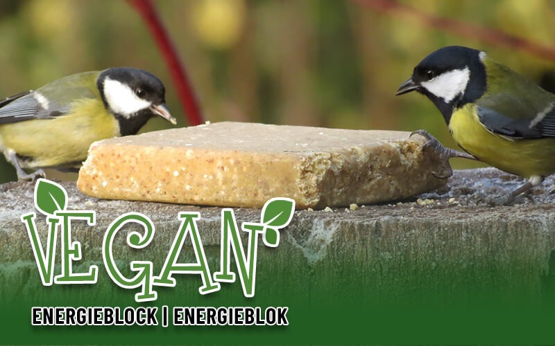 VEGAN Energieblok met pinda's van Aniculis VEGAN Energieblok met pinda's van Aniculis