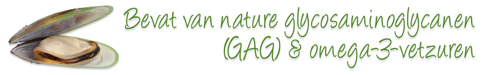 Groenlipmossel van Aniculis - Bevat van nature glycosaminoglycanen en omega-3-vetzuren