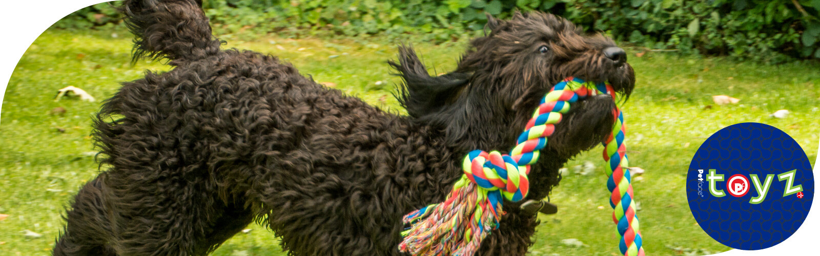 Toys Hondenspeelgoed - Geweldig voor leuke touwtrekwedstrijden - in de onlineshop van Aniculis.nl