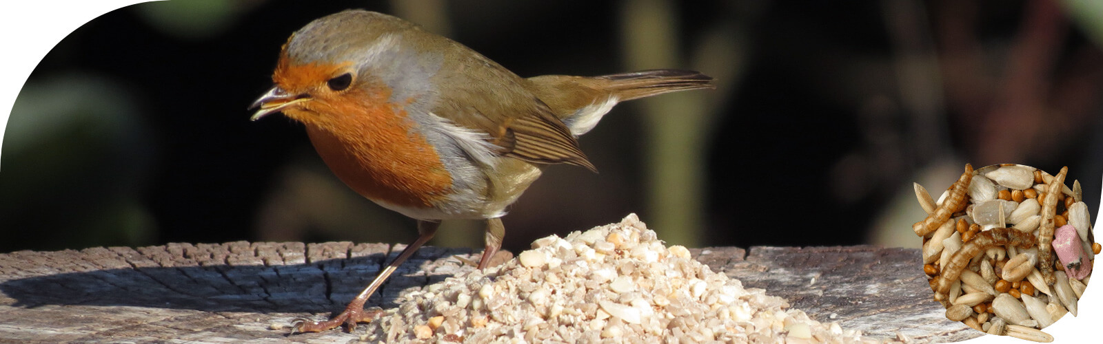 Speciaal voer - Speciaal vogelvoer voor specifieke vogelsoorten